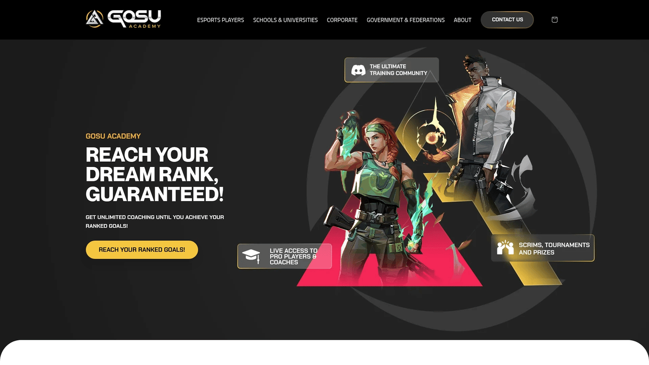 Gosu Academy